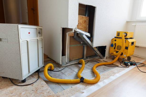 Best Attic Mold Removal  in Garrett, TX